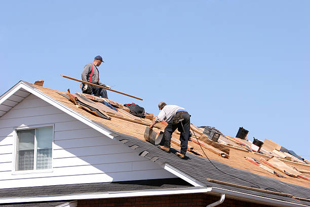 Best Skylight Installation and Repair  in Mineola, TX